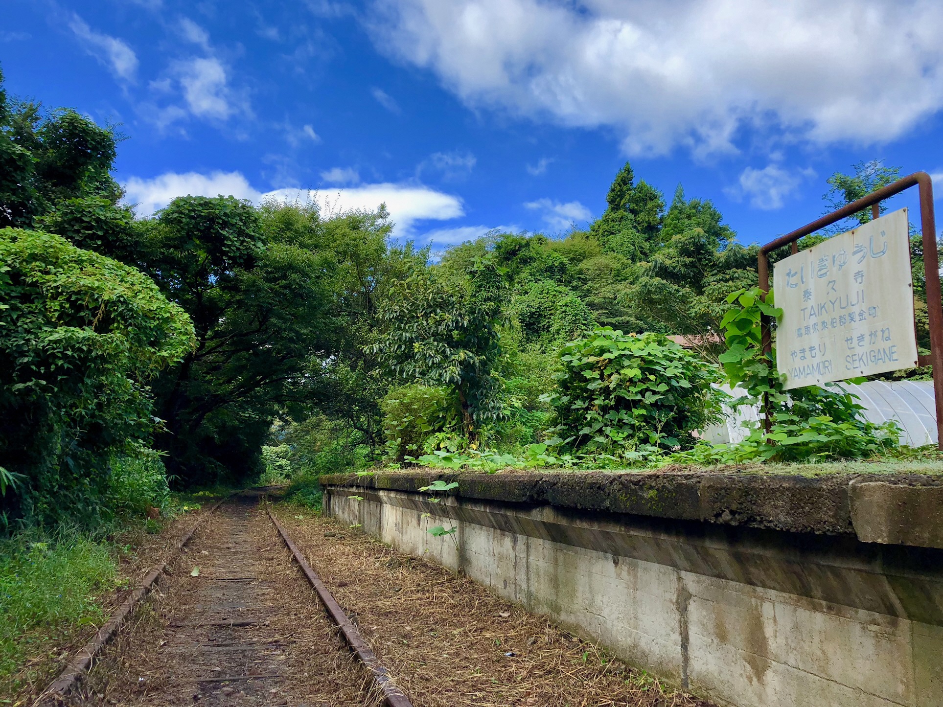 観光名所・史跡・人気スポット… SUN‐IN未来ウオークは見どころいっぱい